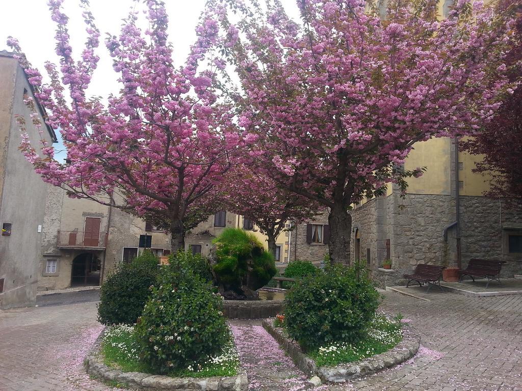 Ferienwohnung La Casa Di Adelina Vivo dʼOrcia Zimmer foto